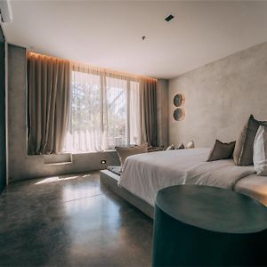 Suite Terrace